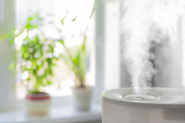 Picture of a humidifier inside home